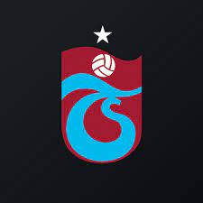 TSPOR Logo